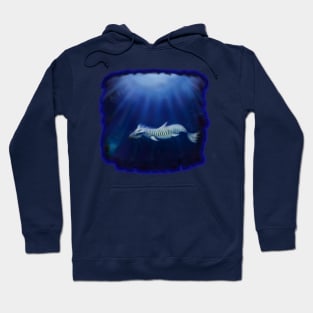 Zebra Fish Hoodie